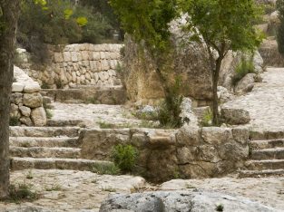 Emmaus Israel Bible Tour